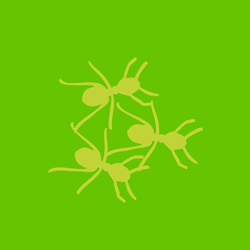 Icon Pest And Fungus