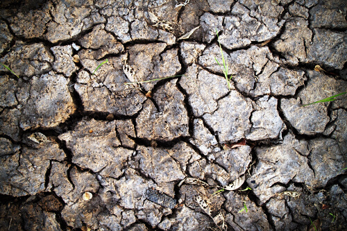 Soil Compact